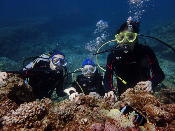 Discover Scuba Dives at Yonehara