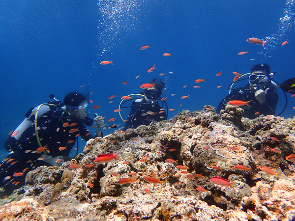 It’s Good to be Underwater☆ Fun- and Discover Scuba Dives