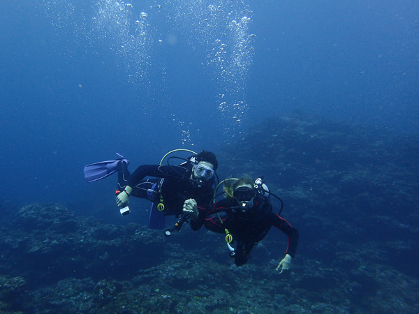 Discover Scuba Dives with Manta Ray