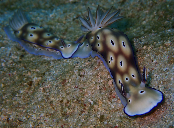 風はビュ～ビュ～吹いていますが魚達はいつも道理のお出迎え☆