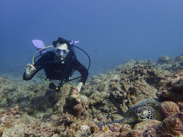 Both Sharks and Turtles! Discover Scuba Dives☆