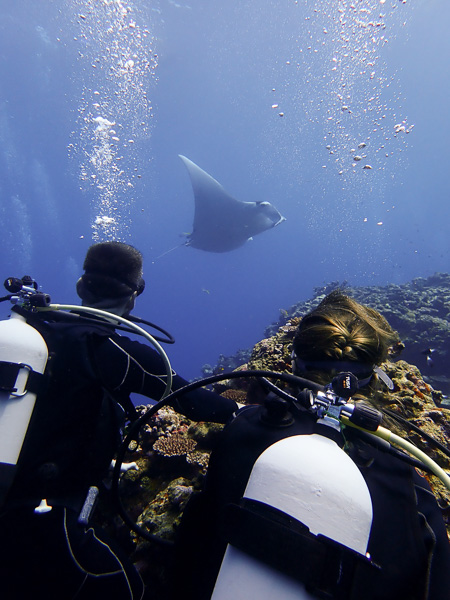 Discover S​cuba Dives with Manta Rays