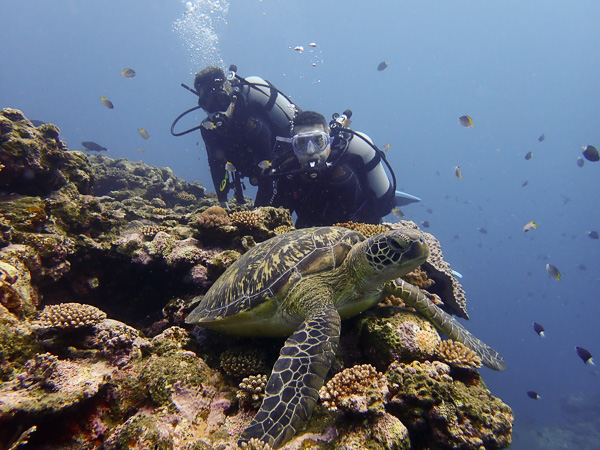 Selfie with Turtle