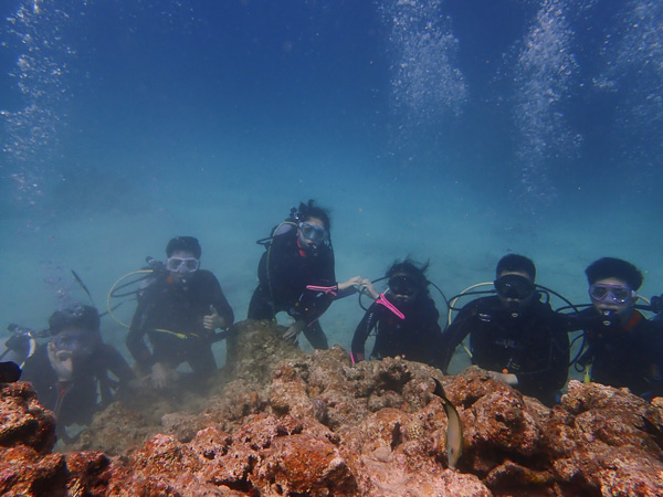 Happy Discover Scuba Divers