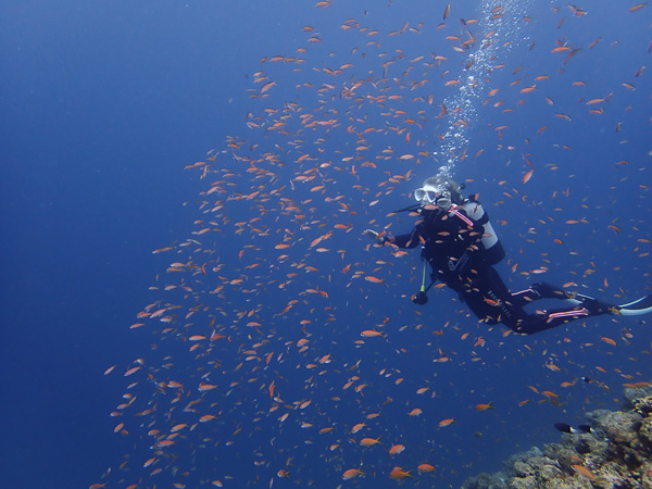 Advanced Open Water Course