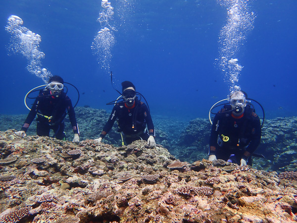 First Dives, Challenging​ but Fun