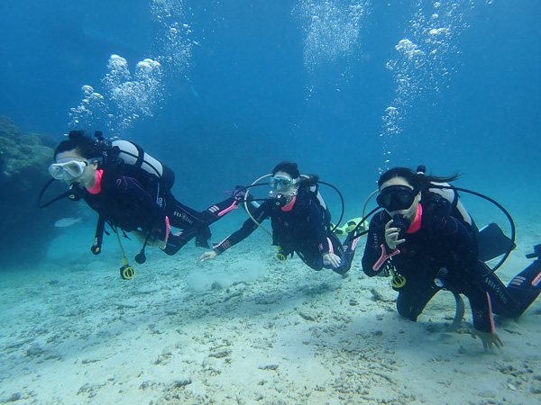 A Fine Day for Discover Scuba Dives