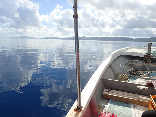 Advanced course & snorkeling