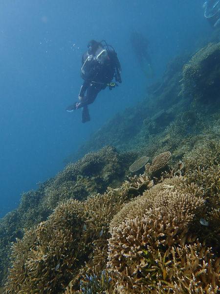 まだまだ穏やかな海で海遊び