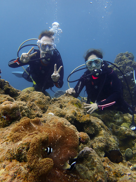 Safe dives in Ishigaki