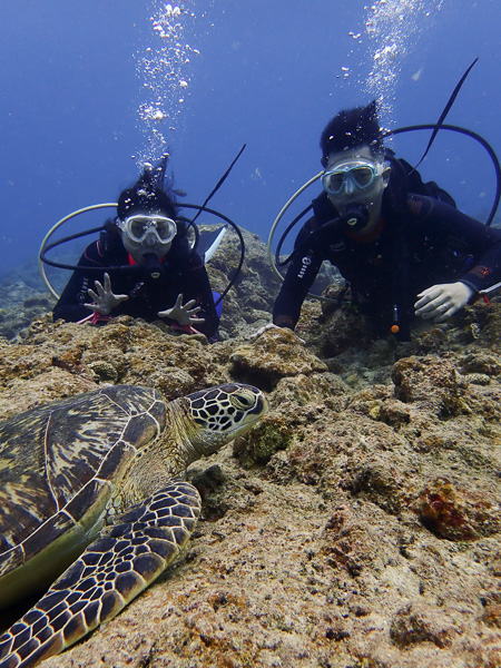 Relaxed discover scuba dives in Ishigaki