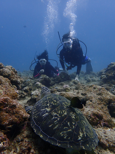 First scuba dives