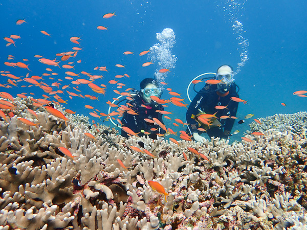 Over the high swell — discover scuba dives