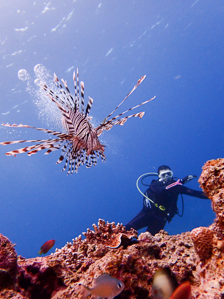 It’s calm underwater