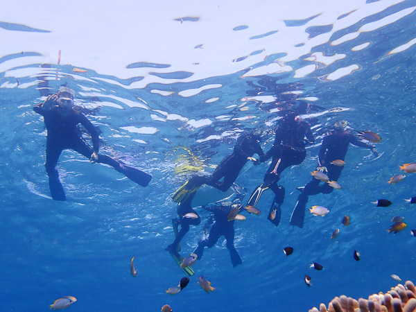 Great day for family snorkeling