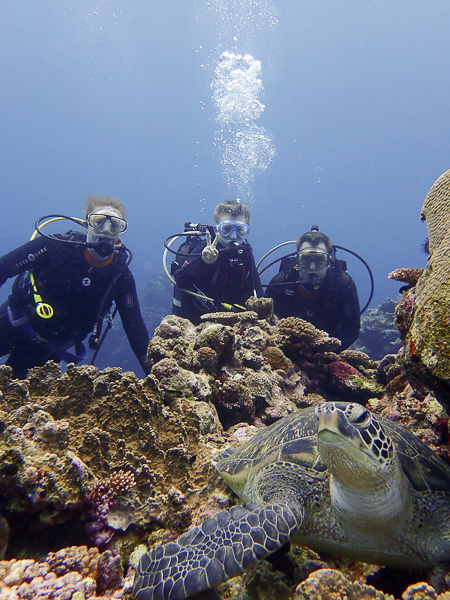 Great day for Discover Scuba Dives