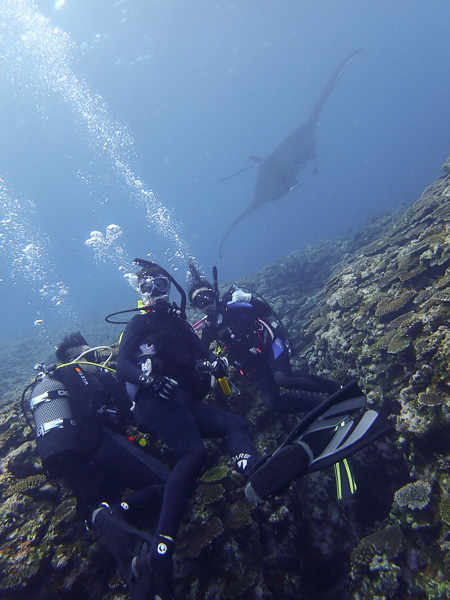 Manta challenge and landscape dive