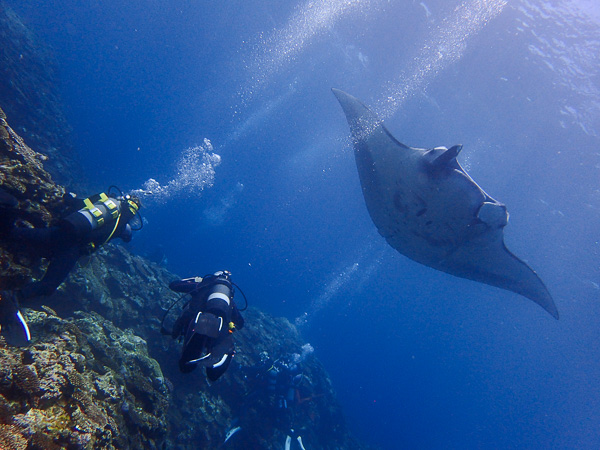 Bright and pleasant underwater