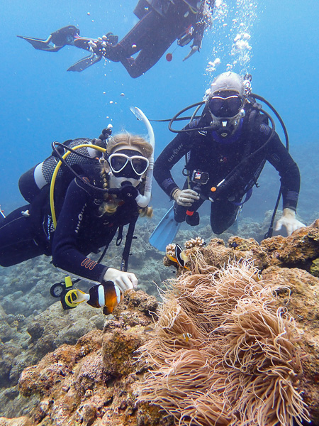 Family dives