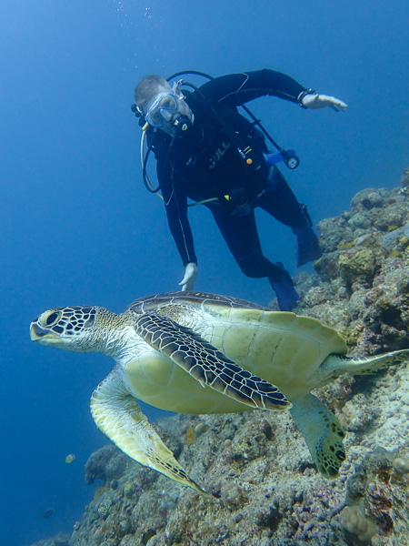 Long time out of the water, refresher dives