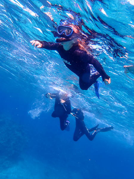 Family snorkeling