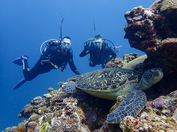 Diving in Kabira area again!