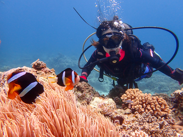 Fair weather dives in Ishigaki island