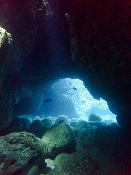 Another Sunny Day of Diving