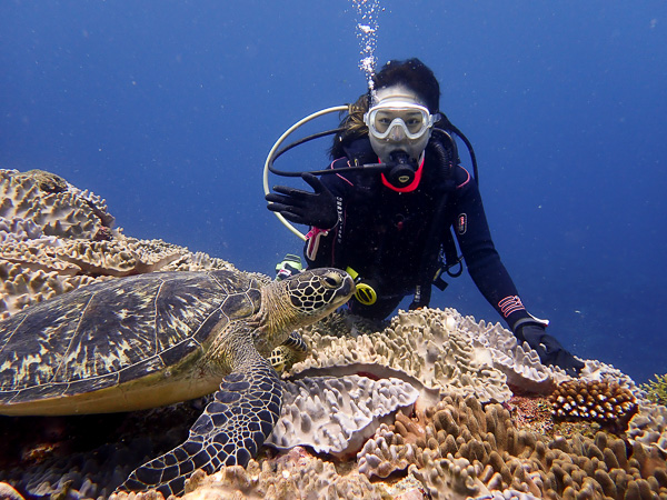Discover Scuba Dives with Sea Turtles