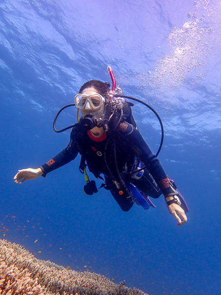 New Divers Lining Up