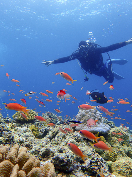 Discover Scuba dives are Better with Friends