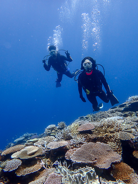 Floating Over the Coral Reefs