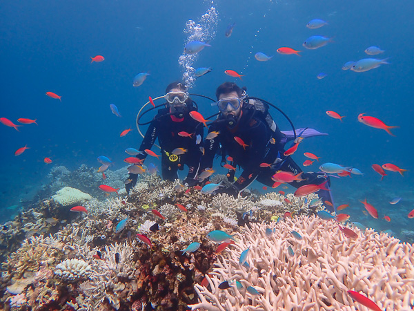 Nervous First Dives