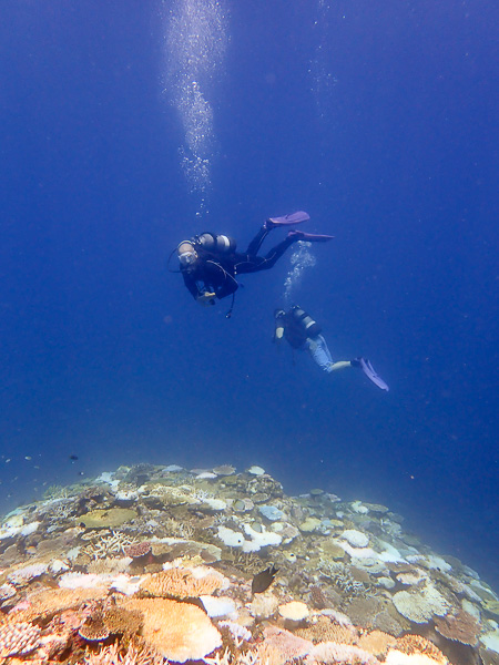 キレイな海で遊ぶ