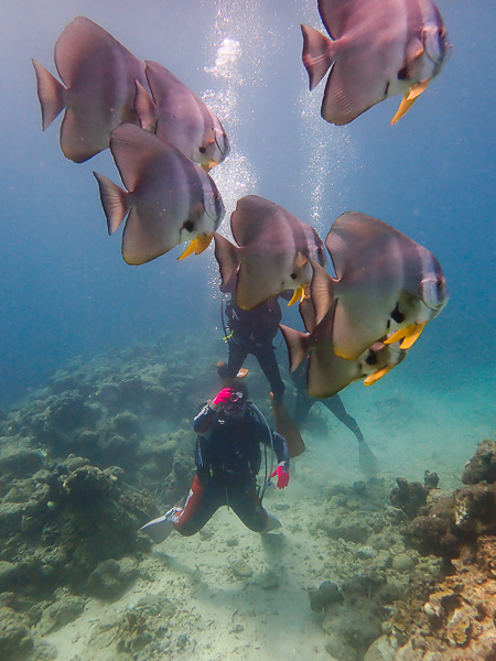 Clear Sky Fun Dives