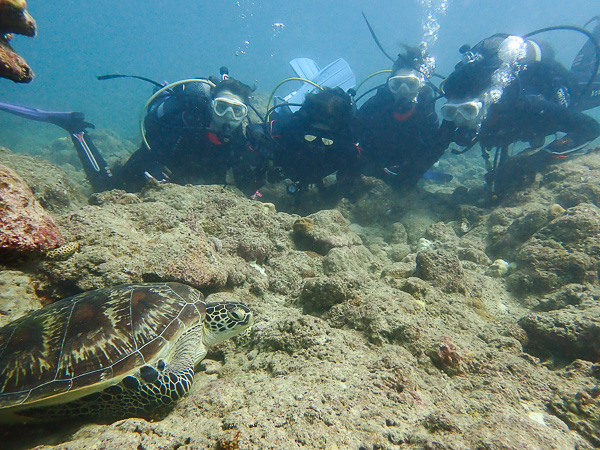 Family Diving Day