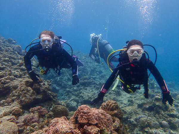 Discover Scuba Dives in Osaki