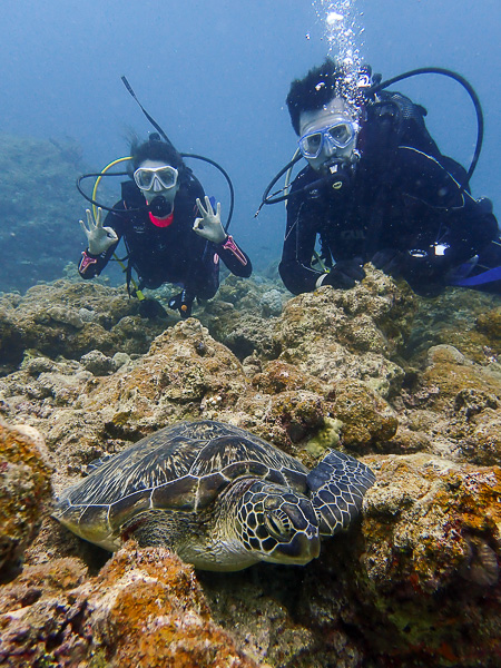 Diving in Osaki