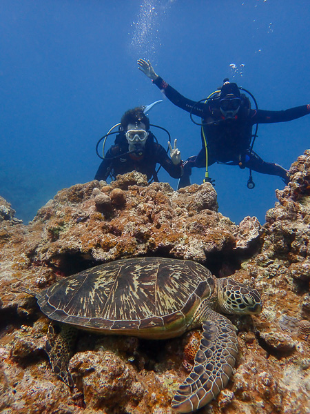 Great Visibility, Great Dives