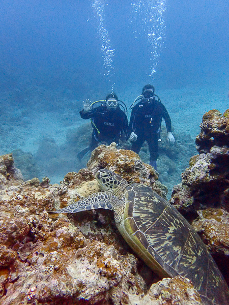 Feeling Calm Underwater