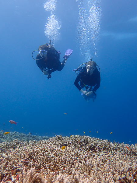 Relaxed Dives in Yonehara