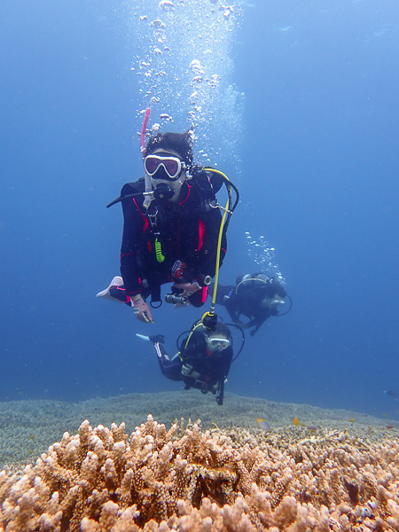 Today’s Dives around Kabira