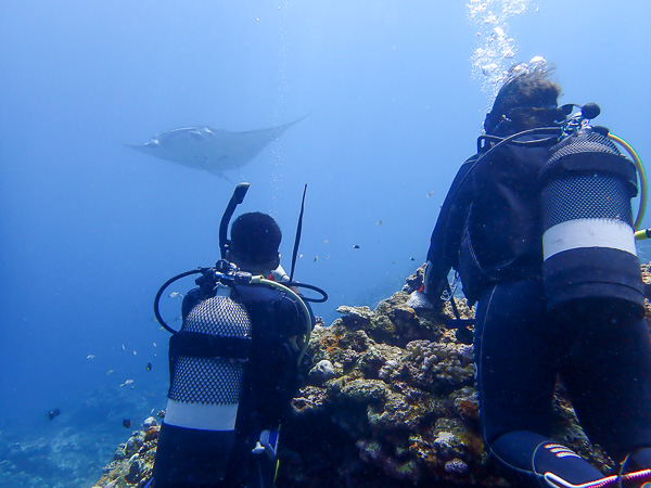 Lots of Different Ways to Enjoy the Ocean