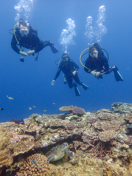 Day of Fun Dives