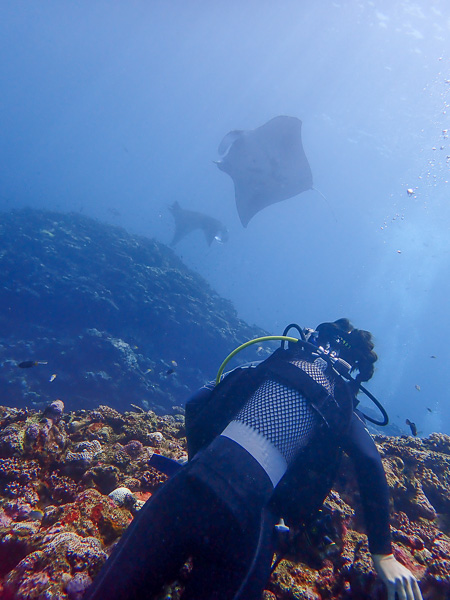 Fine Weather Fun Dives