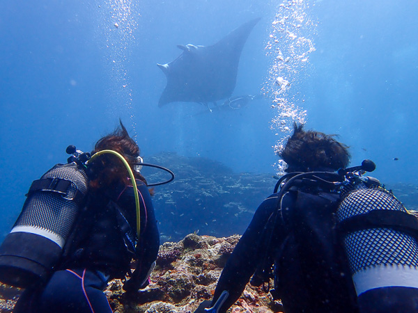 It’s Nice to Dive on the Calm Sea