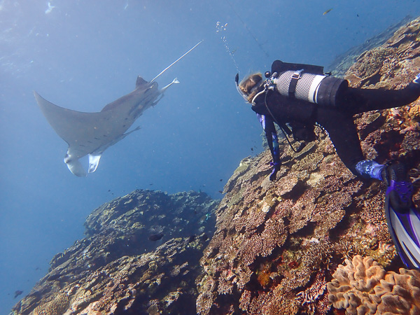 Good To Be Diving