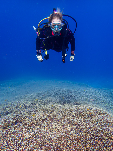 Fun Dives in Kabira Area