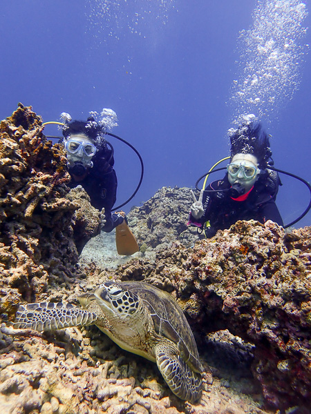 Calm Sea – Introduction Dives in Ishigaki