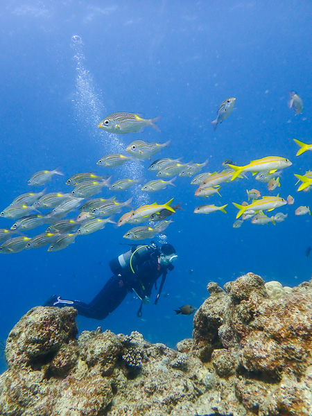 Good Weather for Diving